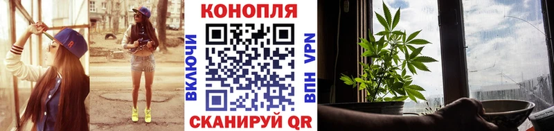 Где купить наркоту Выборг Амфетамин hydra вход ГАШ A-PVP МЕФ Каннабис Кокаин