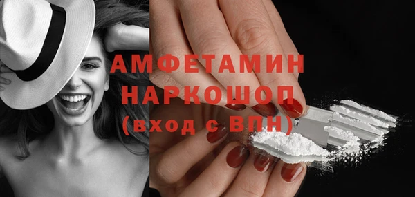 прущий лед Бородино