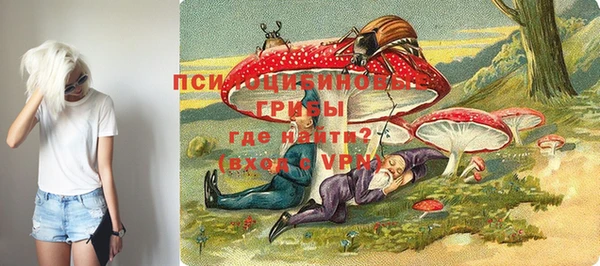 прущий лед Бородино