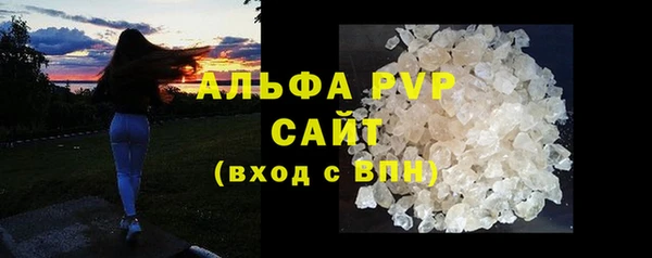 прущий лед Бородино