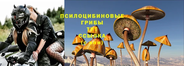 прущий лед Бородино