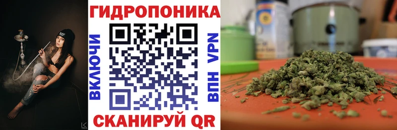 Конопля THC 21%  Выборг 
